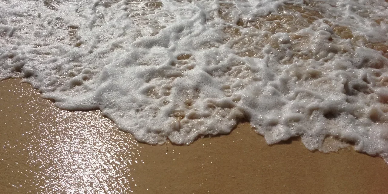 🌏 When One Becomes Truth: Oneness, Wisdom, and Living as Nature | Master Woo Myung | Santa Clara Meditation