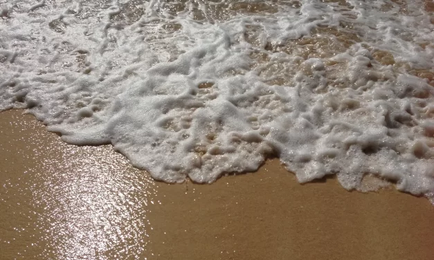 🌏 When One Becomes Truth: Oneness, Wisdom, and Living as Nature | Master Woo Myung | Santa Clara Meditation