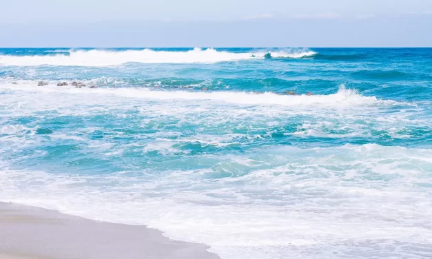 🌿 Why Is Life So Difficult and Full of Suffering? | Master Woo Myung | Santa Clara Meditation