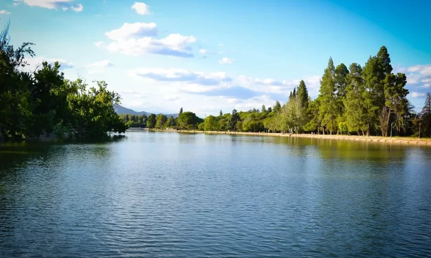 🌟 The Completion of Man: Becoming God Eternal Life and True Paradise | Master Woo Myung | Santa Clara Meditation