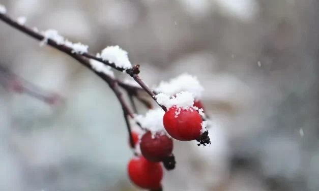 ⏳ Fleeting Human Life: Beyond Time, Death, and the Illusion of Happiness | Master Woo Myung | Santa Clara Meditation