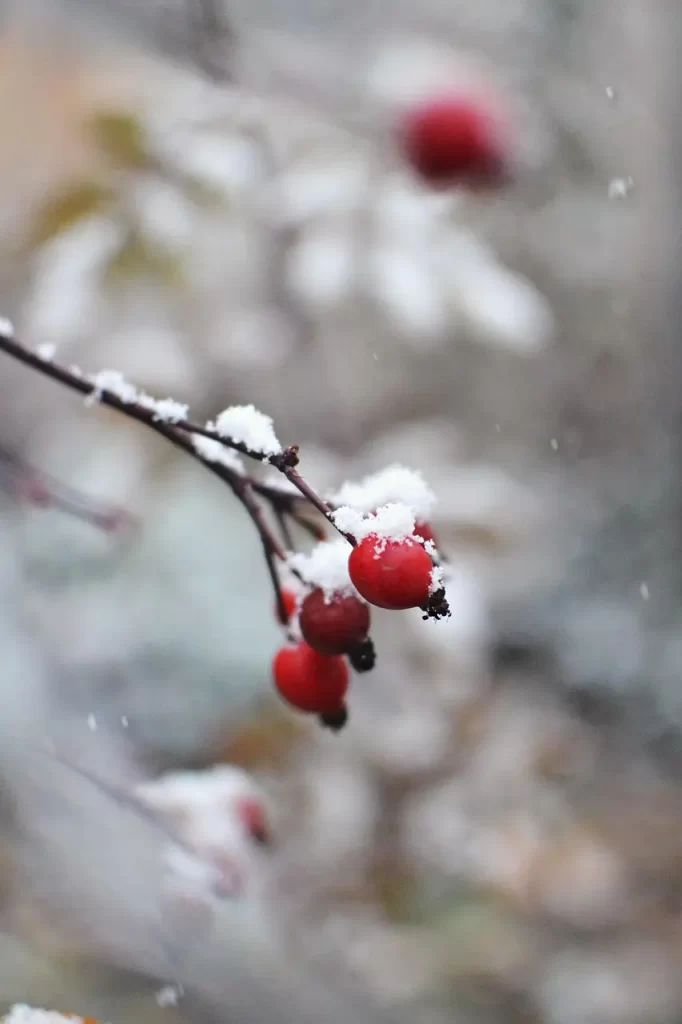 Master Woo Myung fleeting human life time illusion eternal life meditation teaching