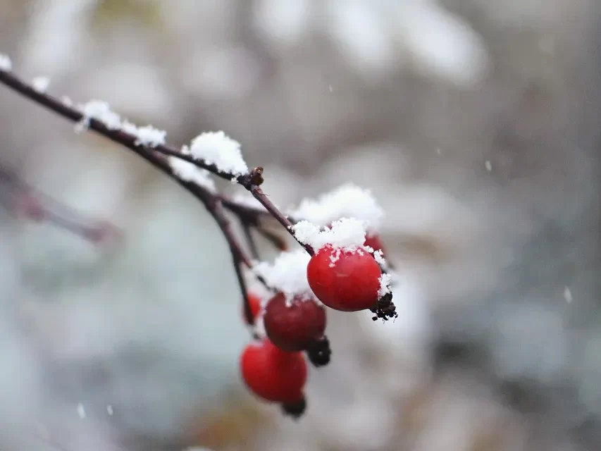⏳ Fleeting Human Life: Beyond Time, Death, and the Illusion of Happiness | Master Woo Myung | Santa Clara Meditation