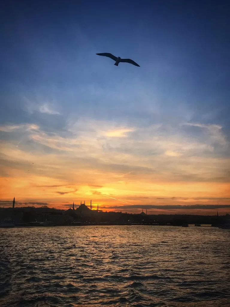 Master Woo Myung teaching on education jeon in truth humanity and learning