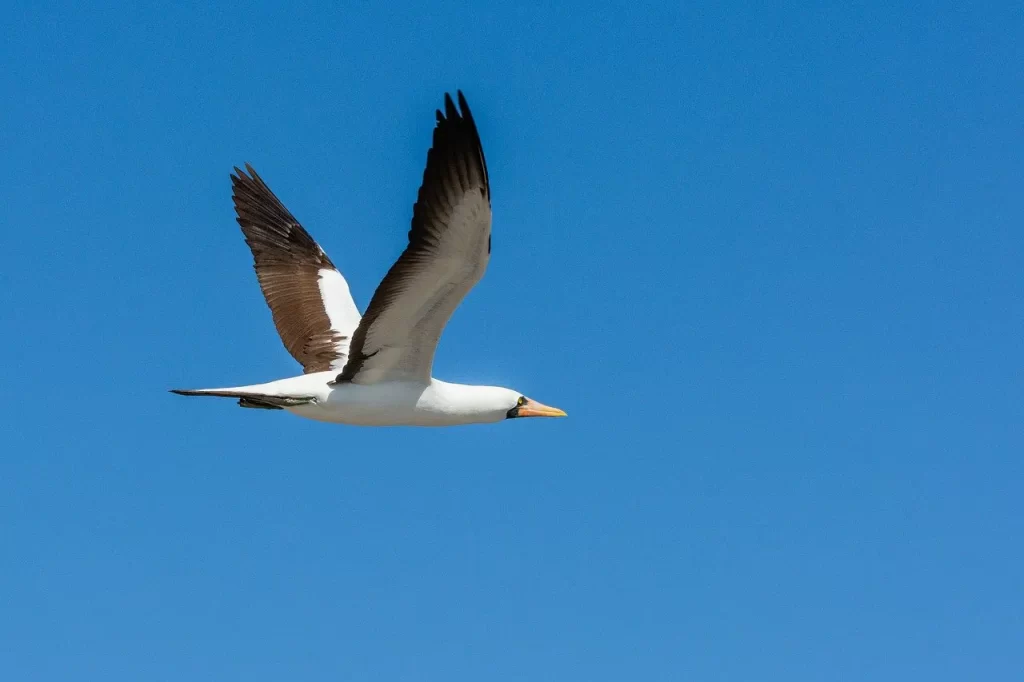 Master Woo Myung teaching about luck fortune karma and cause and effect in life