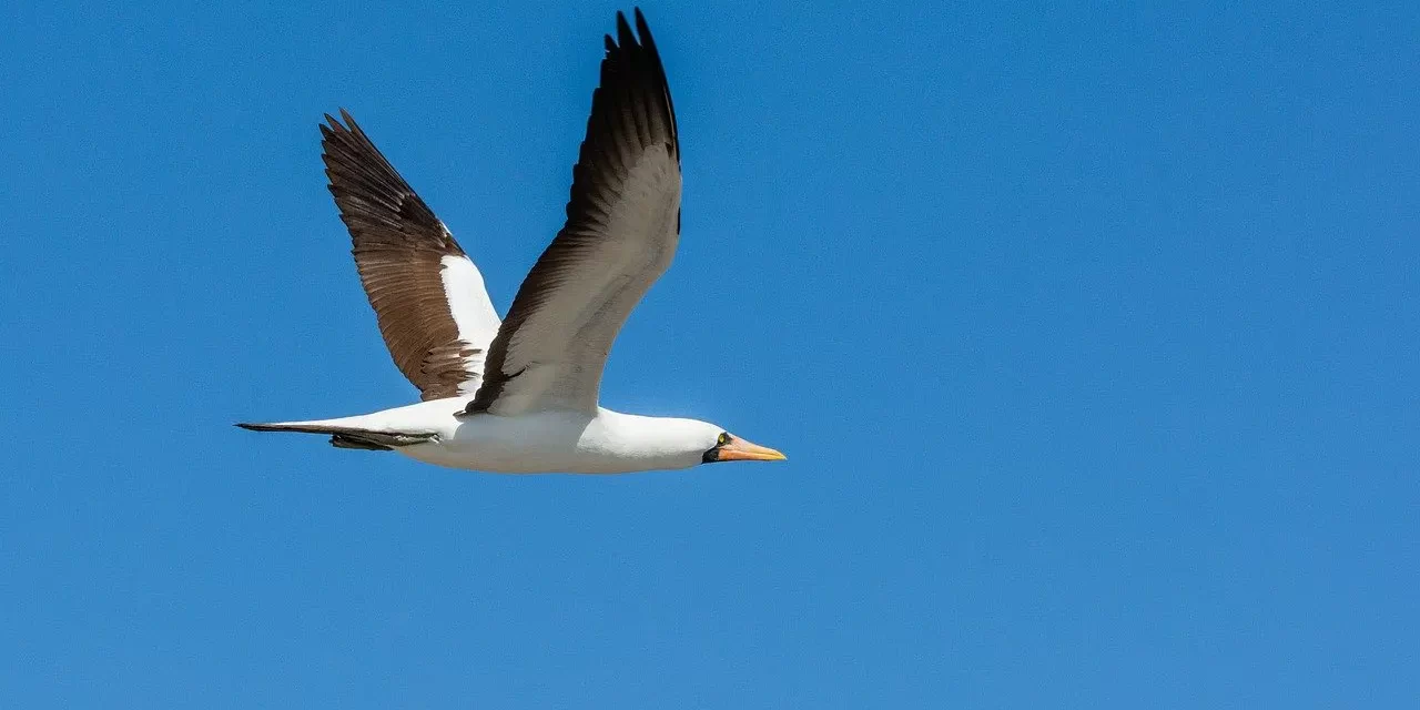 🍀 IS LUCK A COINCIDENCE OR PRE-DECIDED FATE? KARMA AND FORTUNE EXPLAINED | Master Woo Myung | Santa Clara Meditation