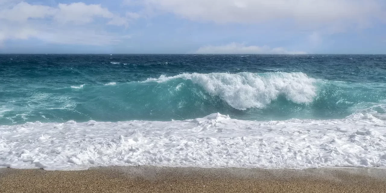 🌟 I Want to Know More About Truth. Can You Give Me Some Guidance Towards Truth? | Master Woo Myung | Santa Clara Meditation