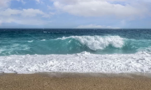 🌟 I Want to Know More About Truth. Can You Give Me Some Guidance Towards Truth? | Master Woo Myung | Santa Clara Meditation