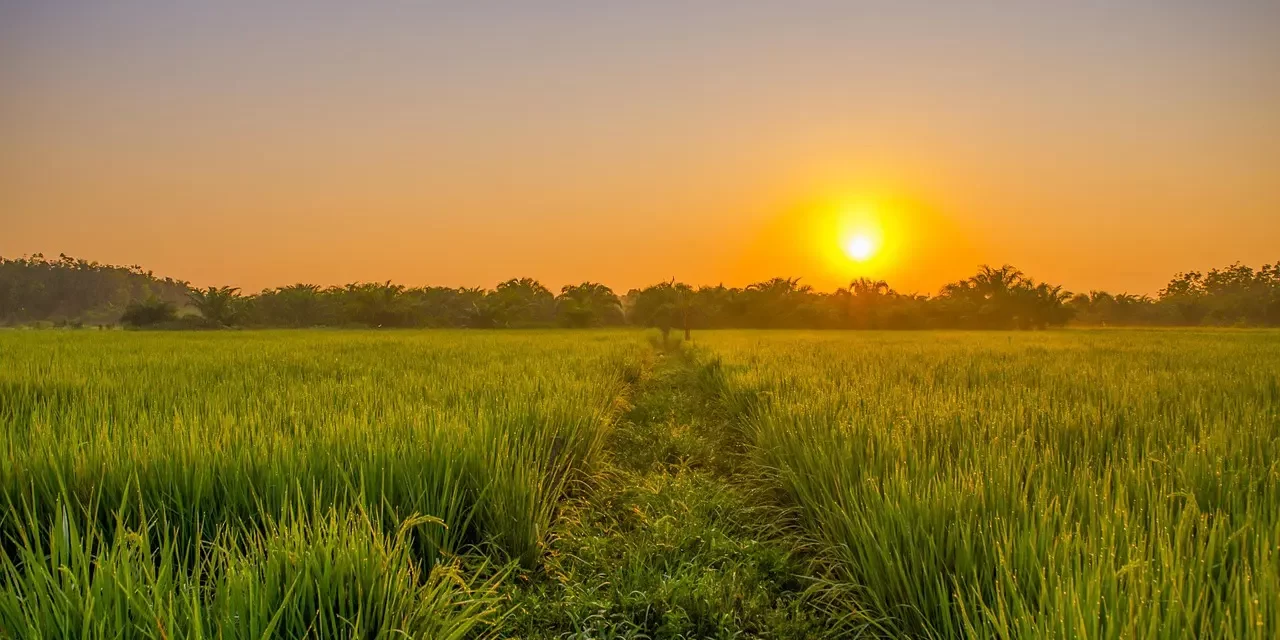 🌌 What Happens After Death? Child vs Adult Soul | Master Woo Myung | Santa Clara Meditation