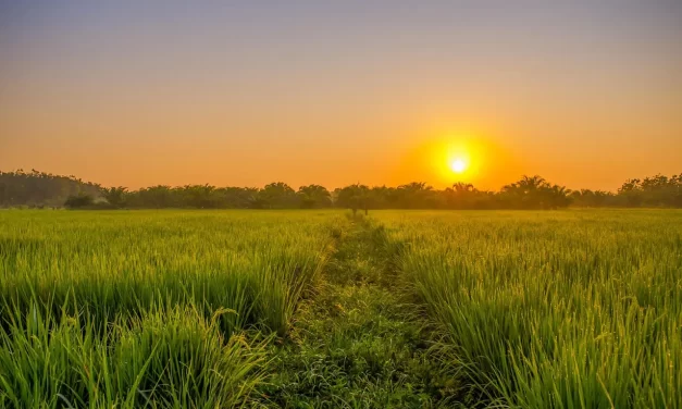 🌌 What Happens After Death? Child vs Adult Soul | Master Woo Myung | Santa Clara Meditation