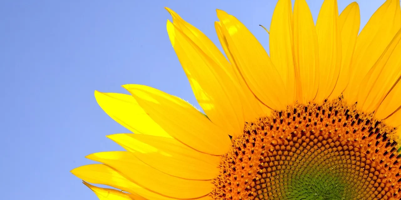 🌌 What Is the Afterworld Like?: Self Habits Suffering and Becoming the Universe | Master Woo Myung | Santa Clara Meditation