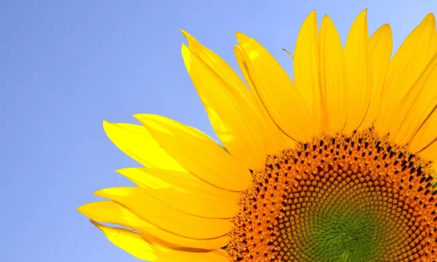 🌌 What Is the Afterworld Like?: Self Habits Suffering and Becoming the Universe | Master Woo Myung | Santa Clara Meditation