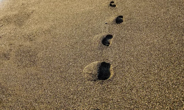 🌅 Trueness: Awakening from Delusion into the Land of Light | Master Woo Myung | Santa Clara Meditation