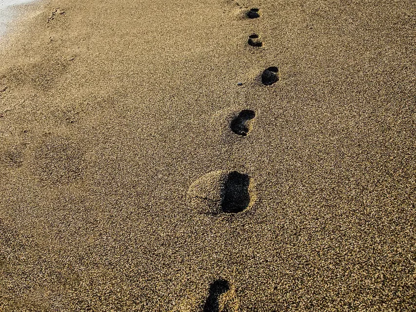 🌅 Trueness: Awakening from Delusion into the Land of Light | Master Woo Myung | Santa Clara Meditation