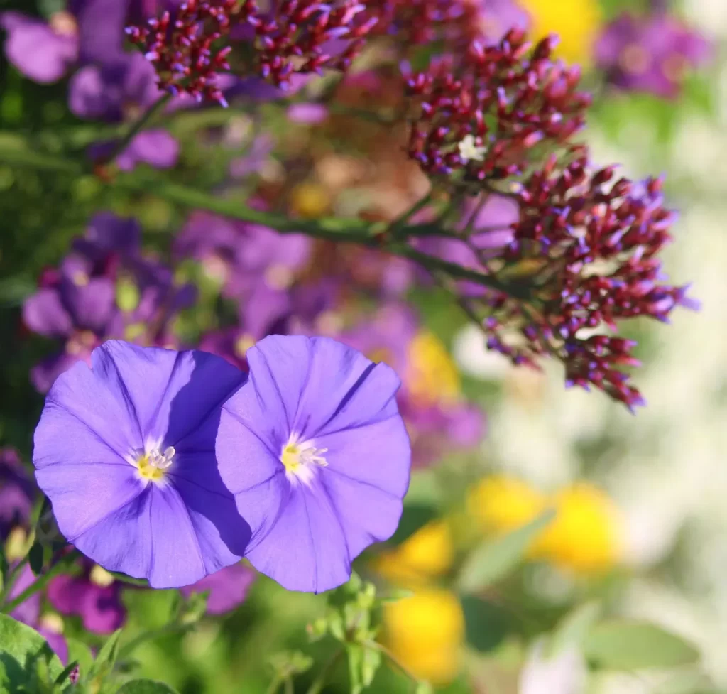 Master Woo Myung teaching dead life dream awakening truth real life