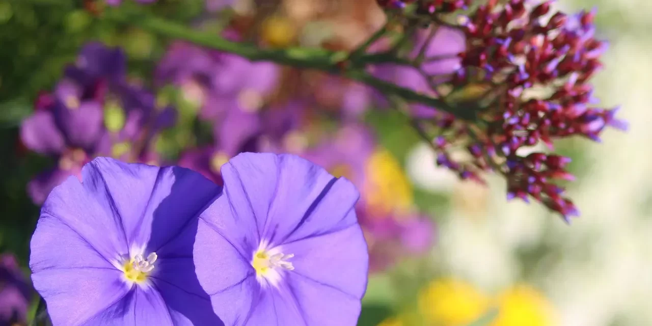 🌙 A DEAD LIFE IS A DREAM AWAKEN TO TRUTH AND REAL LIFE | Master Woo Myung | Santa Clara Meditation