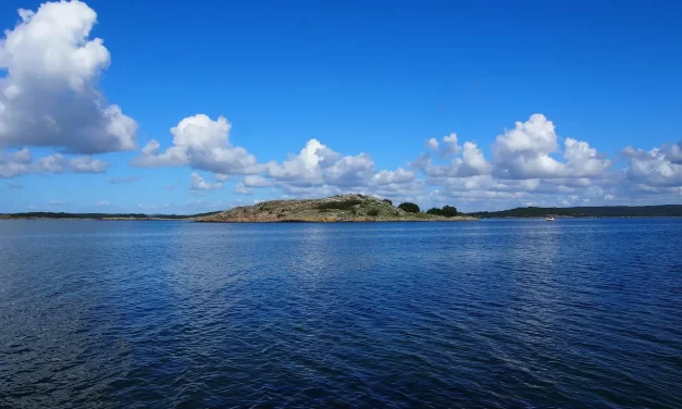 🌌 The Mind: Finding the True Self and Becoming the Creator | Master Woo Myung | Santa Clara Meditation