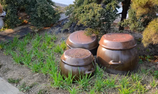 🌿 Birthplace: Longing, Impermanence, and Returning to Truth | Master Woo Myung | Santa Clara Meditation