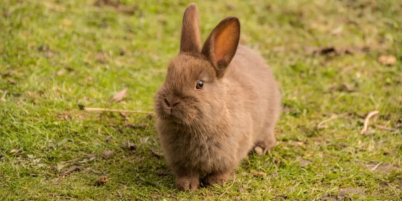 🌟 Only a Person Who Is Truth Can Give Birth to a True Person’s Soul and Spirit: Rebirth Complete Truth and the True Soul | Master Woo Myung | Santa Clara Meditation