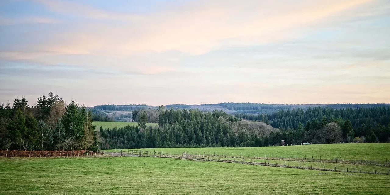 🌍 What Is the Process and Origin of Creation?: Universe Elements and the Truth of Existence | Master Woo Myung | Santa Clara Meditation