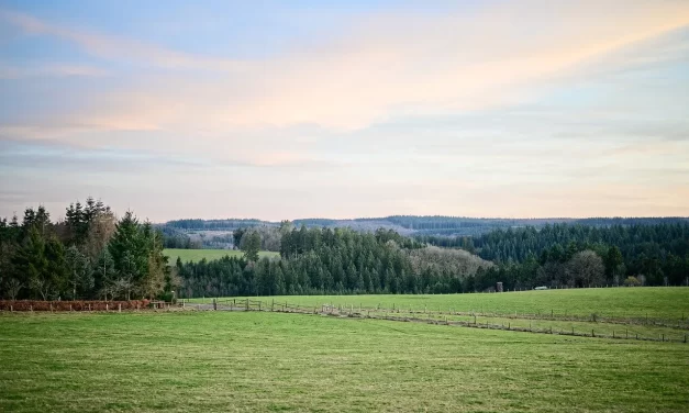 🌍 What Is the Process and Origin of Creation?: Universe Elements and the Truth of Existence | Master Woo Myung | Santa Clara Meditation