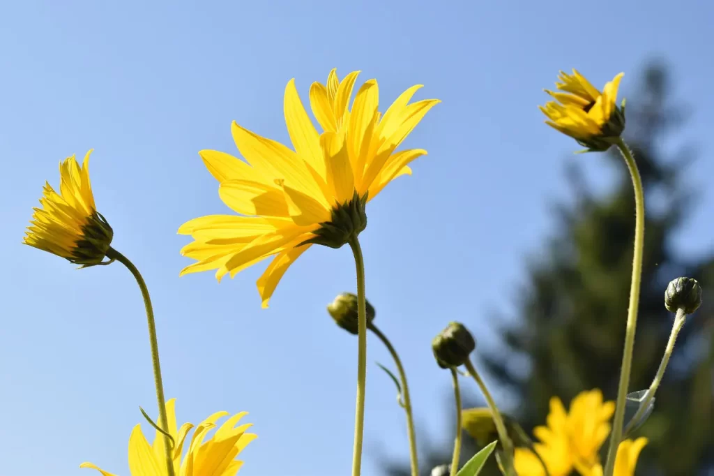 Master Woo Myung teaching about soul and body unity