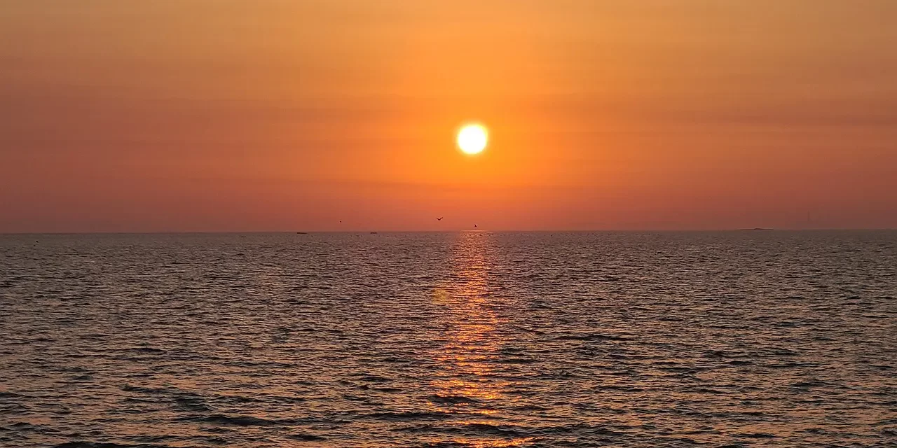 🌿 The Original Birthplace: True Origin Freedom and Returning to the Source | Master Woo Myung | Santa Clara Meditation