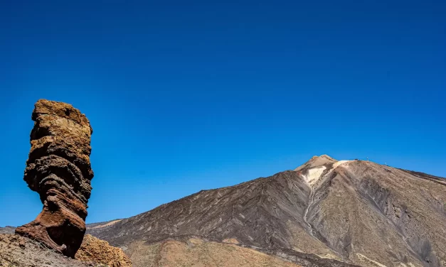 🌿 How Can I Achieve True Enlightenment Myself: Mind Truth Freedom Universe | Master Woo Myung | Santa Clara Meditation