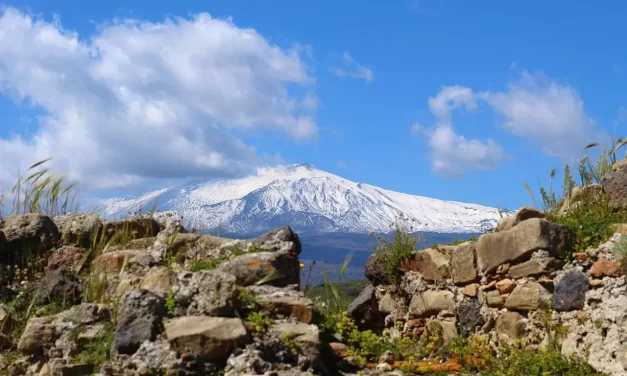 🌿 Change Your Life and Find Inner Peace: Discard Karma Mind Truth Freedom | Master Woo Myung | Santa Clara Meditation