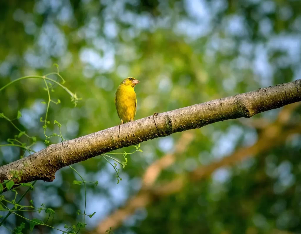 Master Woo Myung teaching about finding truth rest meaning of life and eternal life