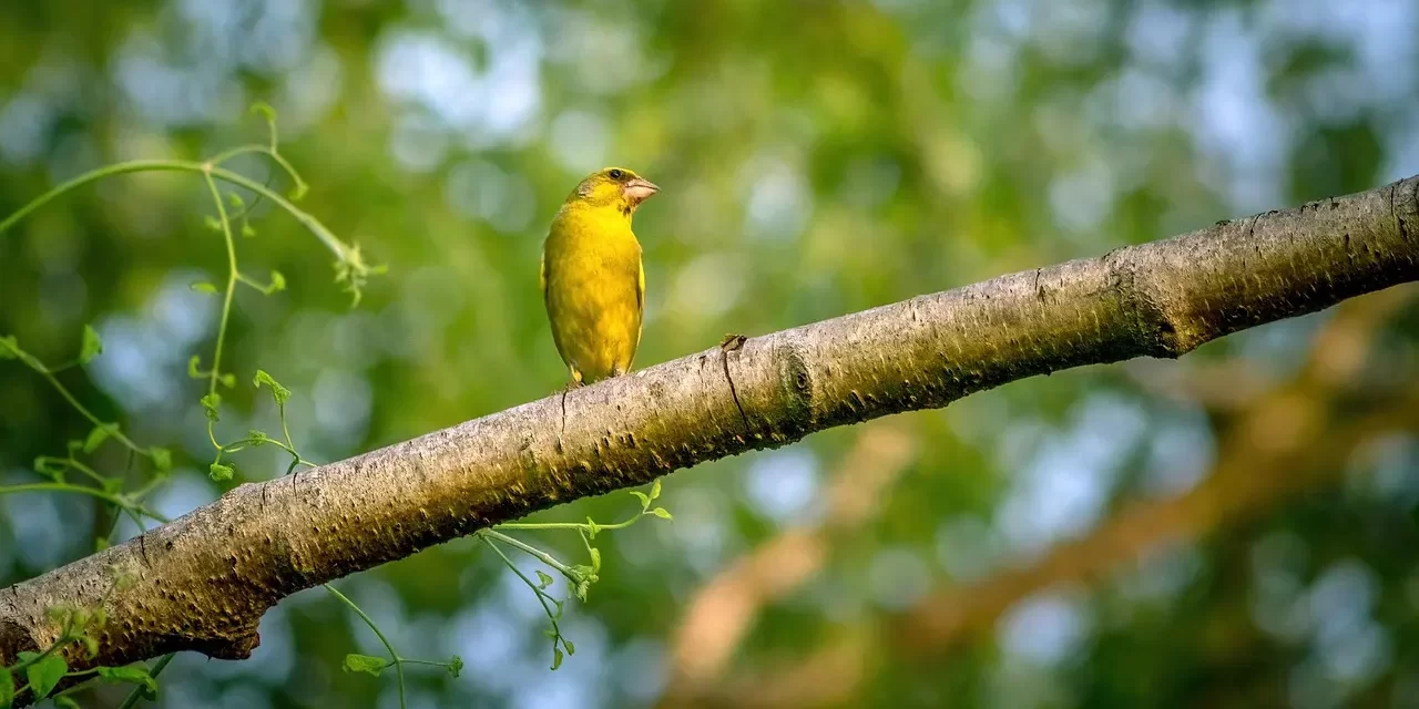 🌿 REST AND FIND TRUTH LIVE AS TRUTH AND ETERNAL LIFE EXPLAINED | Master Woo Myung | Santa Clara Meditation