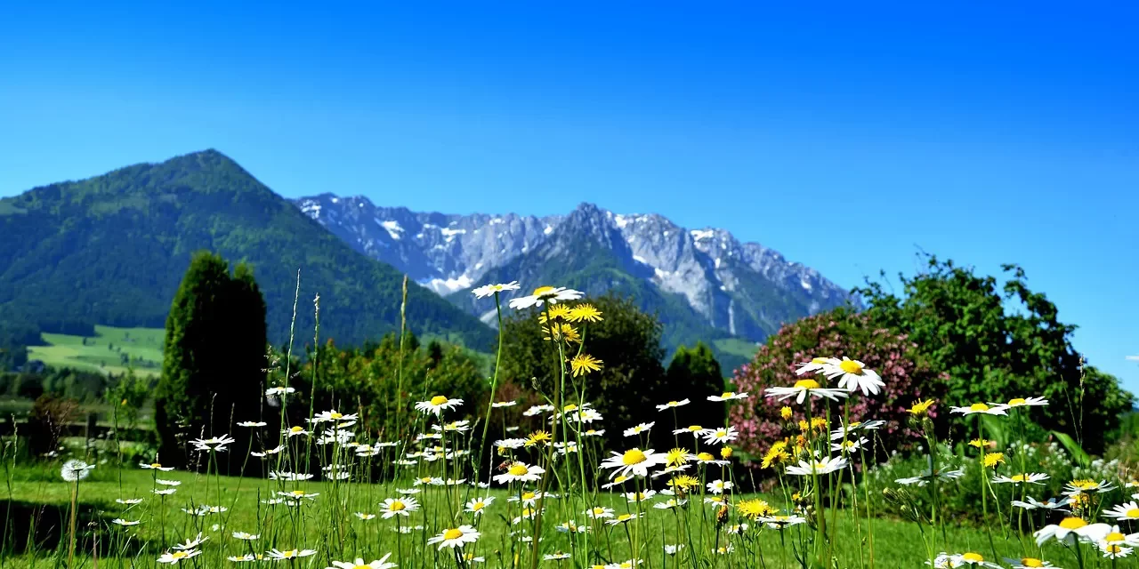 🌊 THE EMBODIMENT OF THE MIND IS EXISTENCE TRUE BEING AND TRUTH EXPLAINED | Master Woo Myung | Santa Clara Meditation