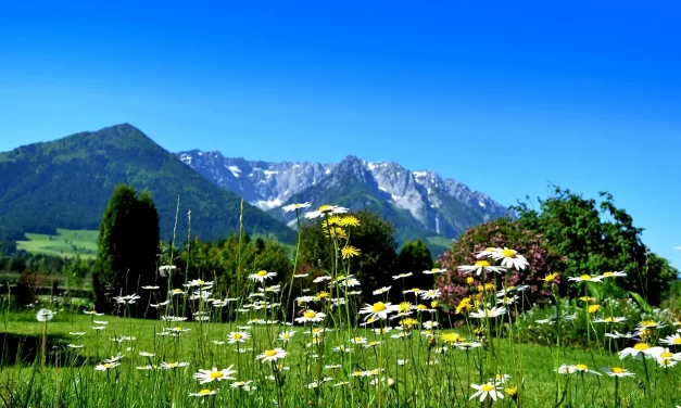 🌊 THE EMBODIMENT OF THE MIND IS EXISTENCE TRUE BEING AND TRUTH EXPLAINED | Master Woo Myung | Santa Clara Meditation