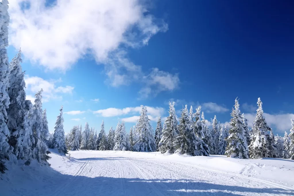 Master Woo Myung become enlightened destroy false mind meditation teaching