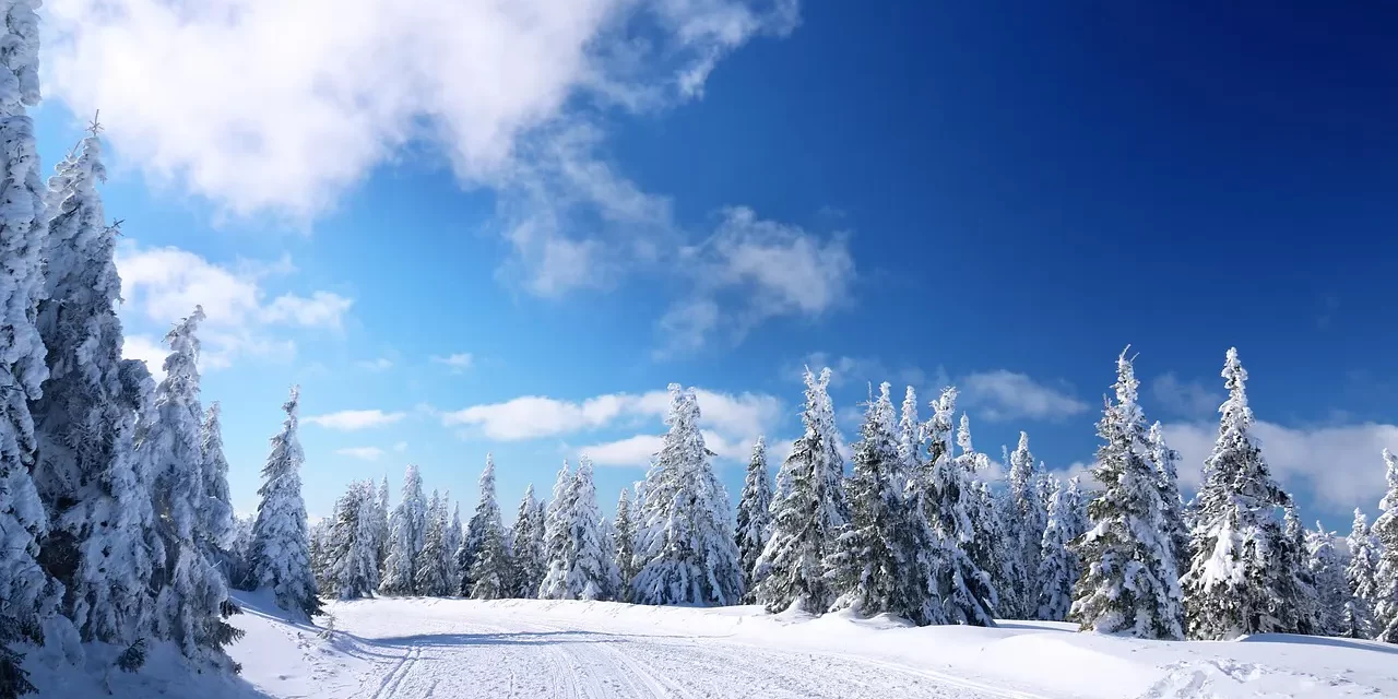 ✨ I Want to Become Enlightened: Mind Truth Freedom Universe Awakening | Master Woo Myung | Santa Clara Meditation