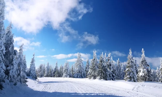 ✨ I Want to Become Enlightened: Mind Truth Freedom Universe Awakening | Master Woo Myung | Santa Clara Meditation