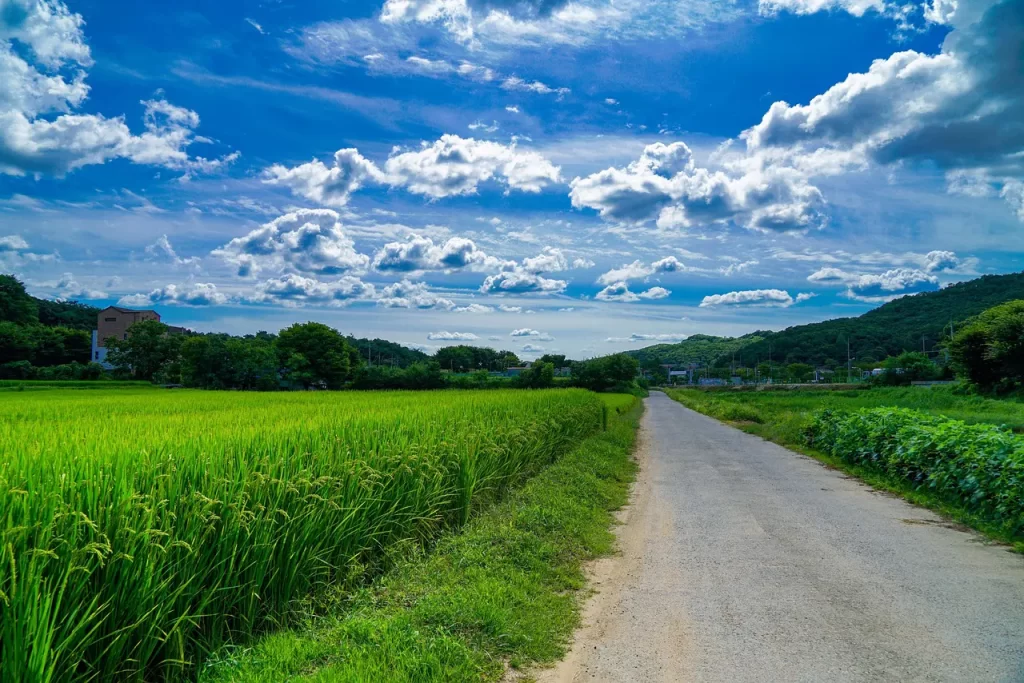 Master Woo Myung teaching on ghosts spirits thought mass and invisible existence