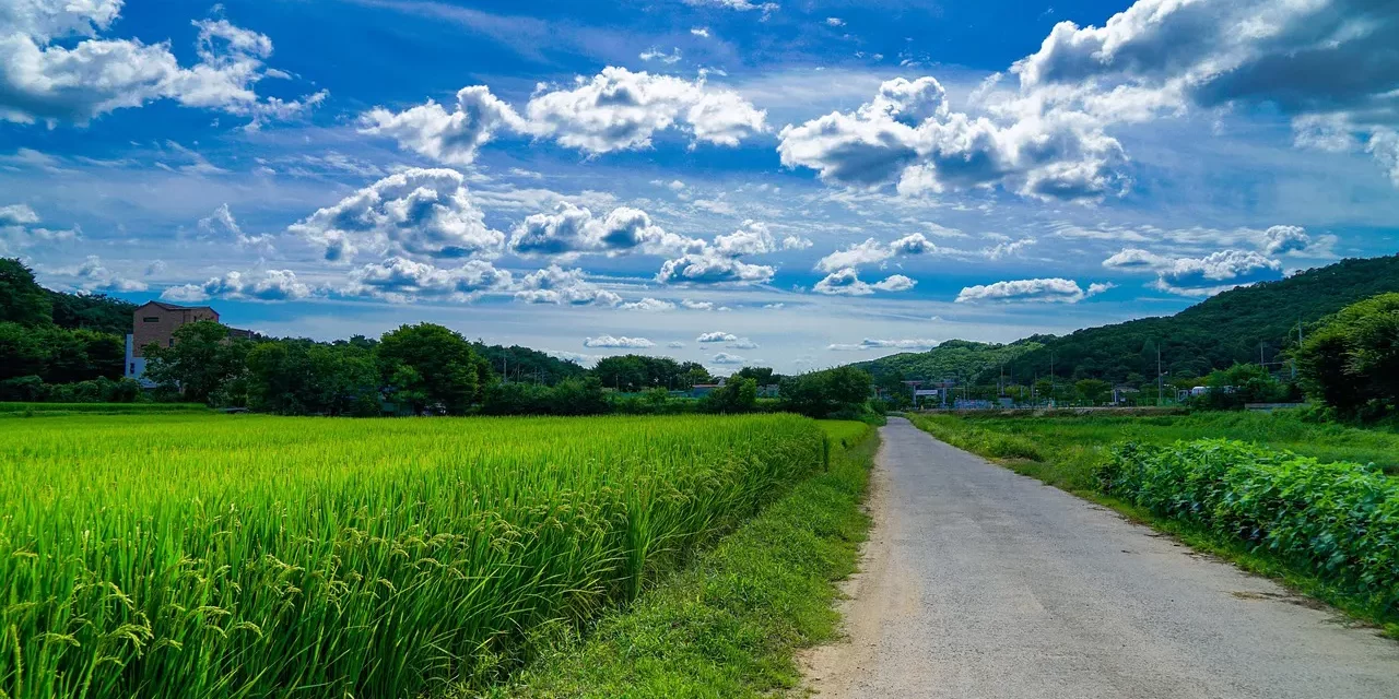 🌻 Do Ghosts or Spirits Exist?: Thought-Mass Imagined Form and Invisible Beings | Master Woo Myung | Santa Clara Meditation