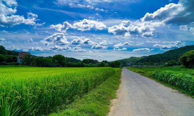 🌻 Do Ghosts or Spirits Exist?: Thought-Mass Imagined Form and Invisible Beings | Master Woo Myung | Santa Clara Meditation