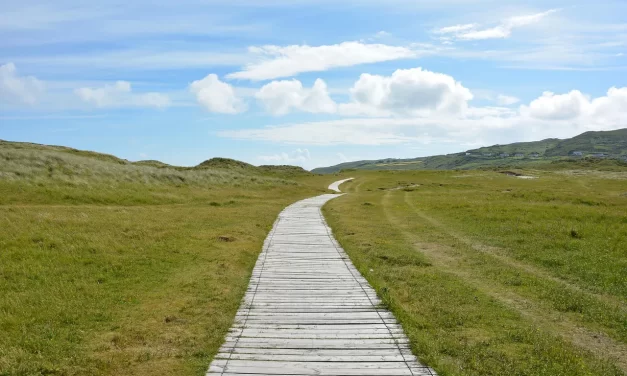 🌌 The Creator: Universe Truth Enlightenment Wisdom | Master Woo Myung | Santa Clara Meditation