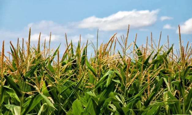 ✨ A True Person Lives a True Life: Truth Purpose and Living for the True World | Master Woo Myung | Santa Clara Meditation