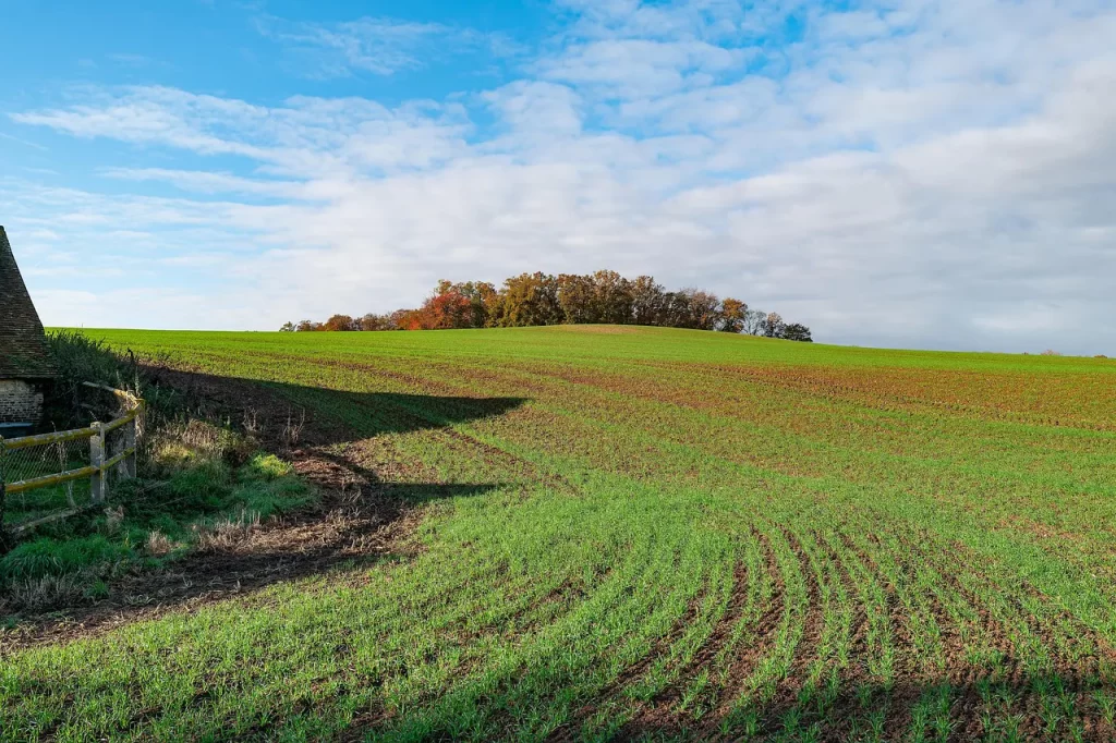 Master Woo Myung teaching on human completion Jung Shin resurrection and Truth
