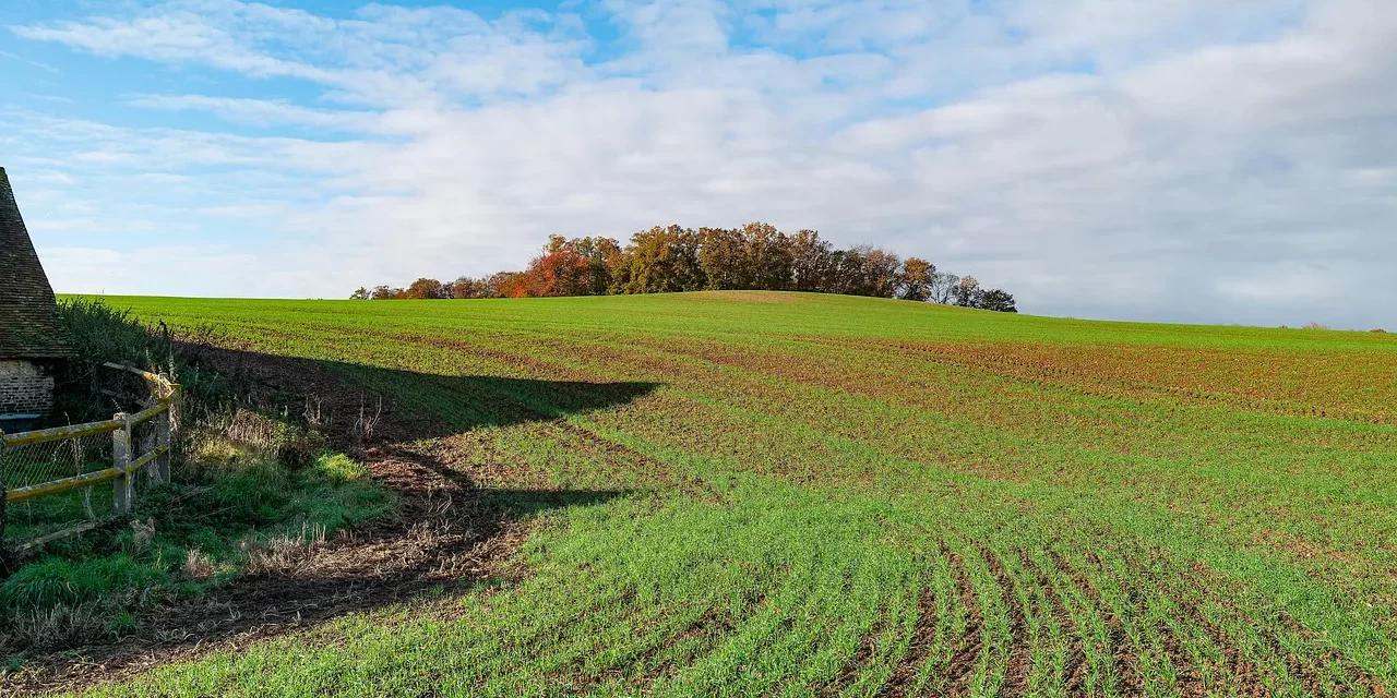 🌟 Human Completion: Jung and Shin Origin of the Universe and Becoming Truth | Master Woo Myung | Santa Clara Meditation