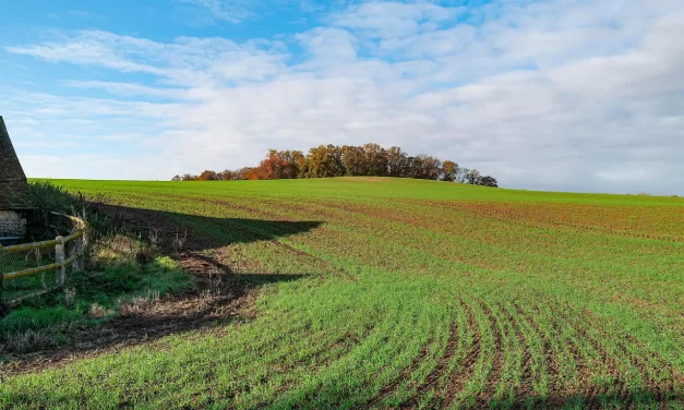 🌟 Human Completion: Jung and Shin Origin of the Universe and Becoming Truth | Master Woo Myung | Santa Clara Meditation
