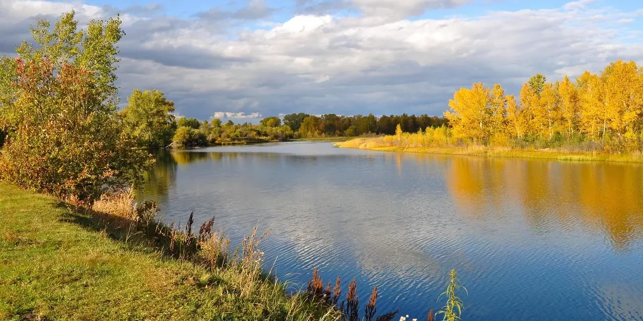 🌟 Stories and Real Life: Awakening from Illusions to Truth | Master Woo Myung | Santa Clara Meditation