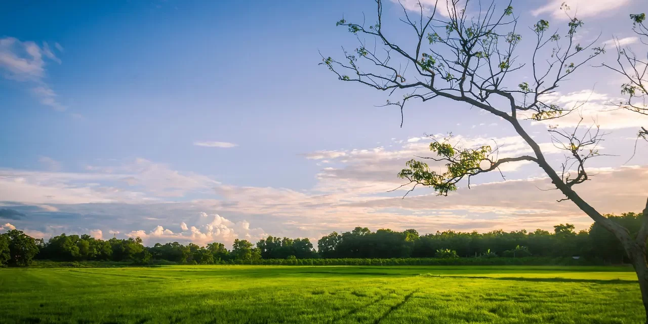 🌤 How to See and Know God, Buddha, Allah, Haneolnim: Truth Within the Mind and Becoming One with Truth | Master Woo Myung | Santa Clara Meditation