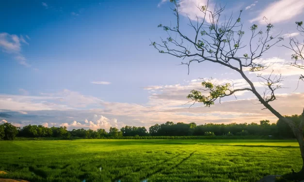 🌤 How to See and Know God, Buddha, Allah, Haneolnim: Truth Within the Mind and Becoming One with Truth | Master Woo Myung | Santa Clara Meditation