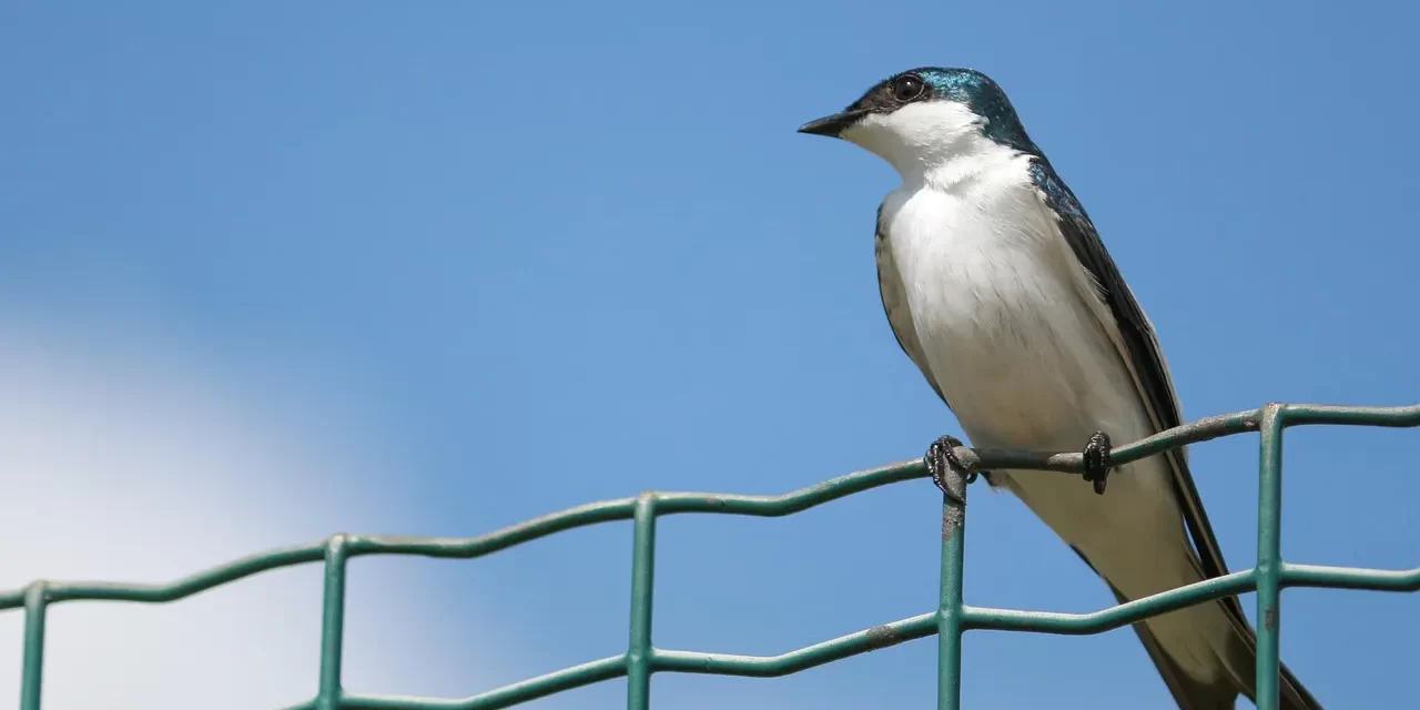 🛤️ A PERSON WHO HAS NOT PREPARED FOR WHERE HE MUST GO TRUTH AND PREPARATION EXPLAINED | Master Woo Myung | Santa Clara Meditation