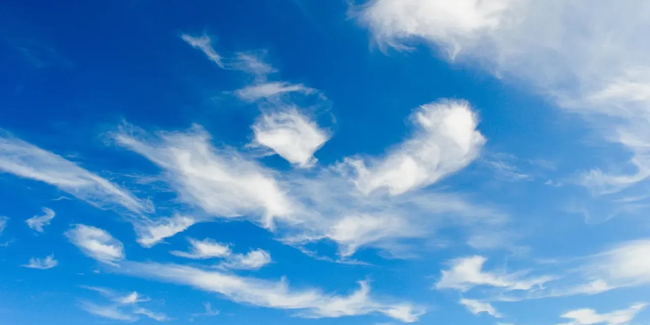 🌿 ACCEPTANCE THE GREATEST POWER AND TRUE WILL EXPLAINED | Master Woo Myung | Santa Clara Meditation