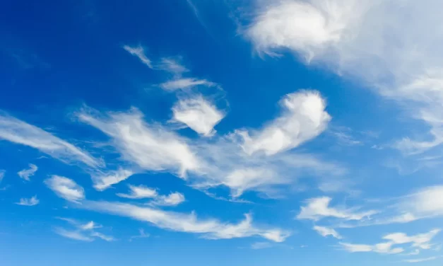 🌿 ACCEPTANCE THE GREATEST POWER AND TRUE WILL EXPLAINED | Master Woo Myung | Santa Clara Meditation